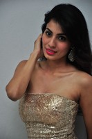 Manisha Kelkar Spicy Photos